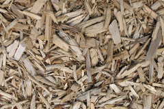 biomass boilers Blanerne